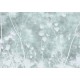 Affreschi & Affreschi | About You | AY 027