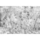Affreschi & Affreschi | About You | AY 075