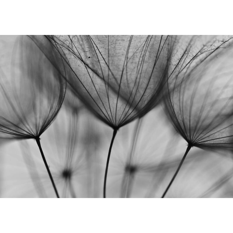 Affreschi & Affreschi | About You | AY 076