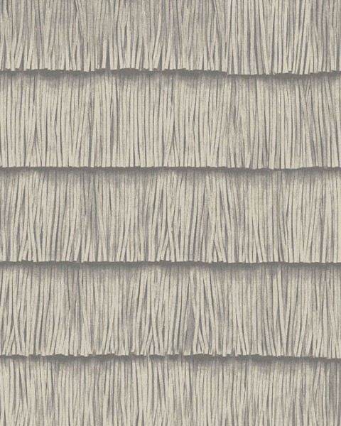 Shiver | 34540 | Insolence