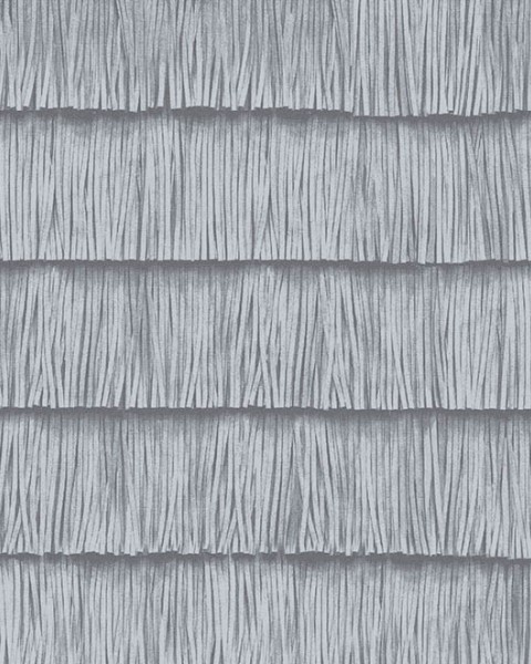 Shiver | 34541 | Insolence