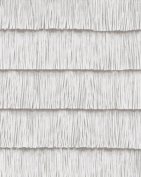 Shiver | 34544 | Insolence