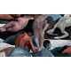 Saturnia | 70500 Platinum | Les Thermes