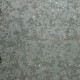 Bearded Leopard | MO2051 | Moooi Wallcovering Extinct Animals