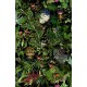 Menagerie of Extinct Animals | MO2071 | Moooi Wallcovering Extinct Animals