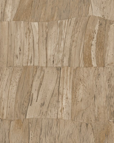 Capas | 34300 | Selva