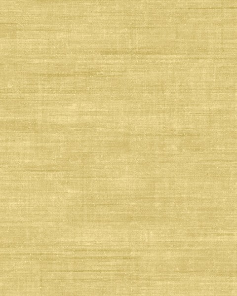 Canvas | 24509 | Signature