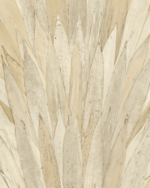 Abanico | 34000 | Selva