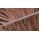 Abanico | 34003 | Selva