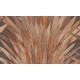 Abanico | 34003 | Selva