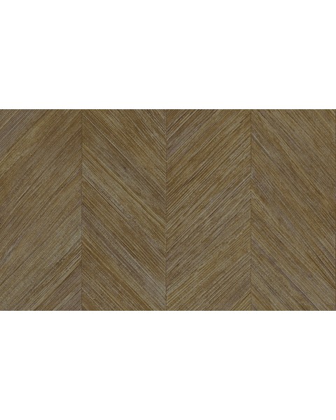 Corteza | 34202 | Selva