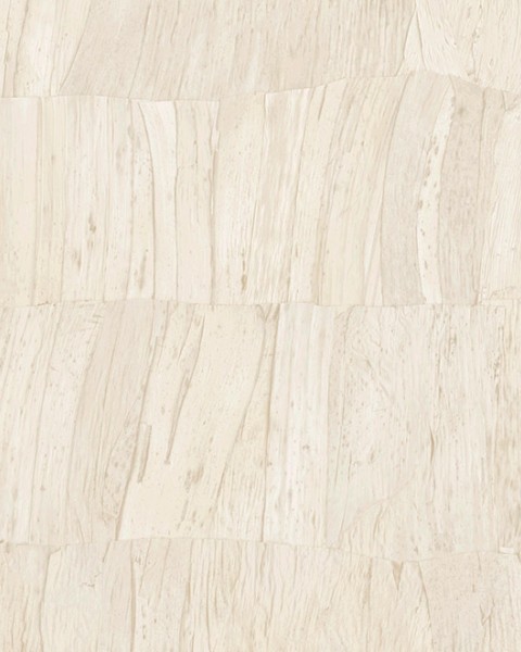 Capas | 34301 | Selva