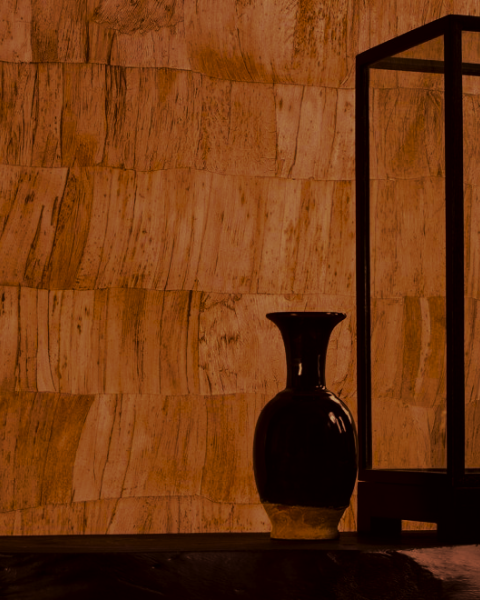 Capas | 34302 | Selva