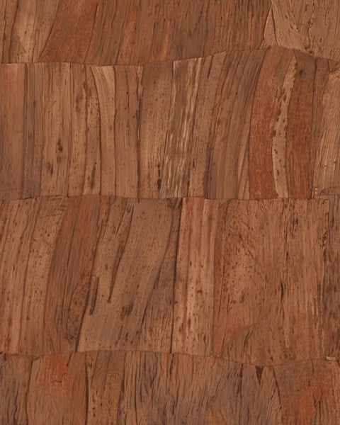 Capas | 34302 | Selva