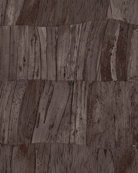 Capas | 34303 | Selva