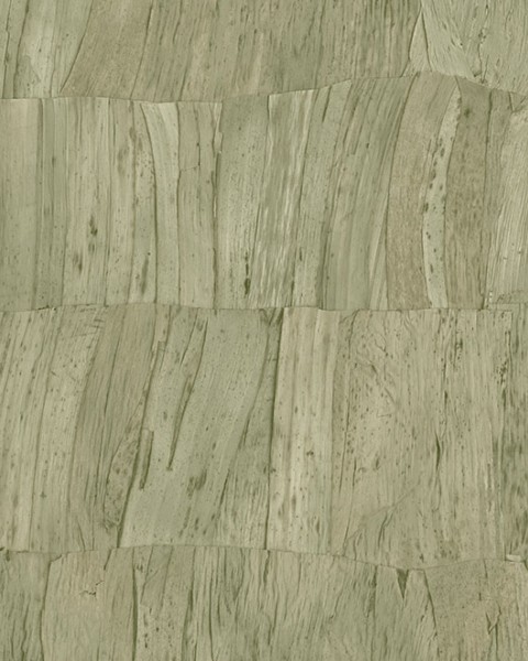 Capas | 34304 | Selva