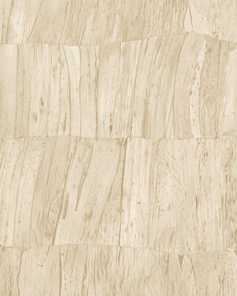 Capas | 34306 | Selva