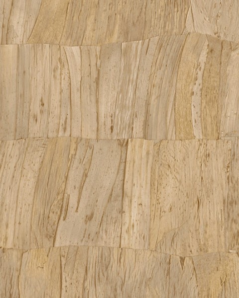 Capas | 34307 | Selva