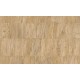 Capas | 34307 | Selva