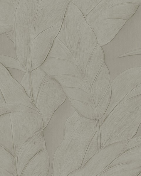 Musa | 75000A | Selva