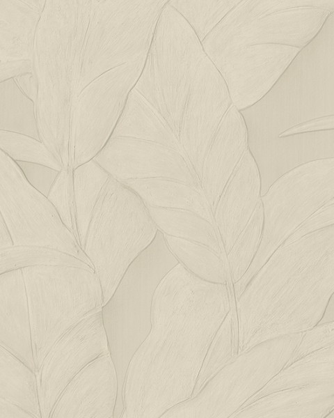 Musa | 75002A | Selva