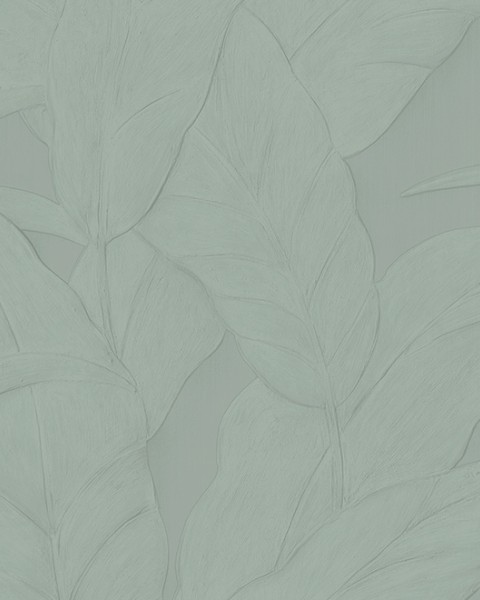 Musa | 75003A | Selva