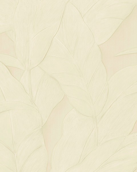Musa | 75005A | Selva