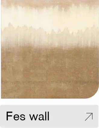 Fes wall