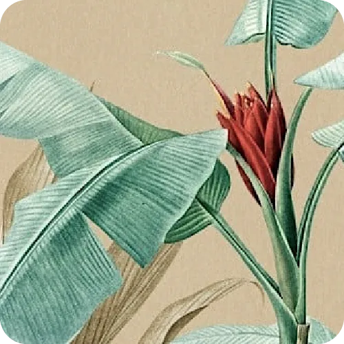 Tropical