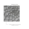  Affreschi & Affreschi | 3D Wall | 3D28