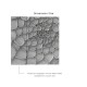  Affreschi & Affreschi | 3D Wall | 3D28