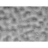 Affreschi & Affreschi | 3D Wall | 3D29