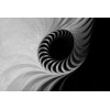 Affreschi & Affreschi | 3D Wall | 3D47