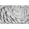 Affreschi & Affreschi | 3D Wall | 3D50