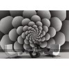Affreschi & Affreschi | 3D Wall | 3D73 