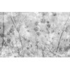 Affreschi & Affreschi | About You | AY 075