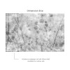 Affreschi & Affreschi | About You | AY 075