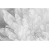 Affreschi & Affreschi | About You | AY 099