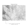 Affreschi & Affreschi | About You | AY 099