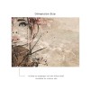 Affreschi & Affreschi | Aloha | AH 009
