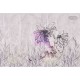 Affreschi & Affreschi | Aloha | AH 024