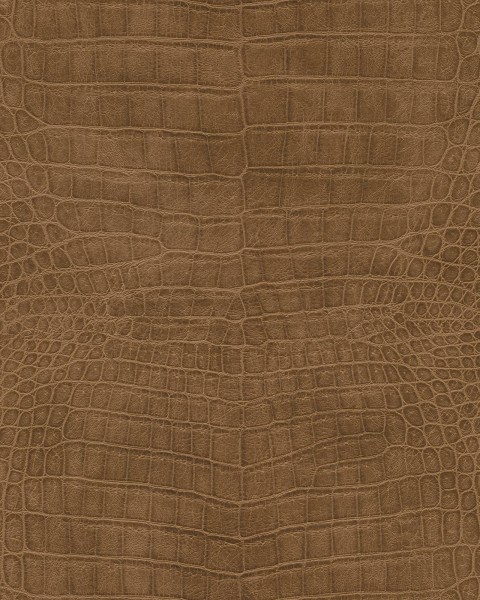 RASCH | 751314 | AFRICAN QUEEN III