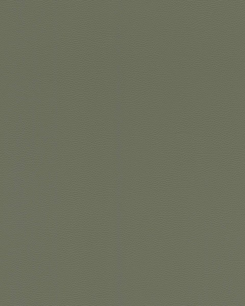 RASCH | 752687 | AFRICAN QUEEN III