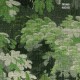 ARTE | Les Forêts | Dioré