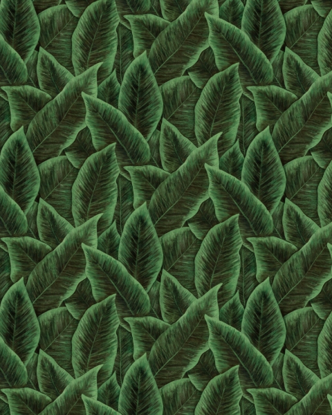 Arte | Décors & Panoramiques | Bird of Paradise | 97572