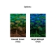 Arte | Décors & Panoramiques | Ciel Tropical I