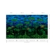 Arte | Décors & Panoramiques | Ciel Tropical I