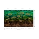 Arte | Décors & Panoramiques | Ciel Tropical I