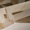 ARTE | Emblème | Under the Sycamore Tree