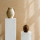 ARTE | Pampas | Motas I